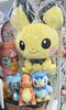 「ポケモンぬいぐるみ大集合！」