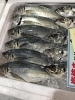 「魚魚市場鮮魚コーナーおすすめは「キンメダイ・クロ」です♪」