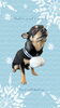「Dog salon mofu mofu　余市町」