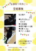 「【新居浜市宇高町】里親募集のお知らせ！※3/25追記情報あり」