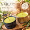 「◯ 出店者紹介 ◯オルタナティブスクールシューレのたね」