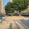 16回　別所大里公園（べっしょおおさとこうえん）　☆武蔵浦和☆