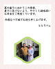 ごあいさつ「【今週のお弁当のご紹介🌻🌻】」