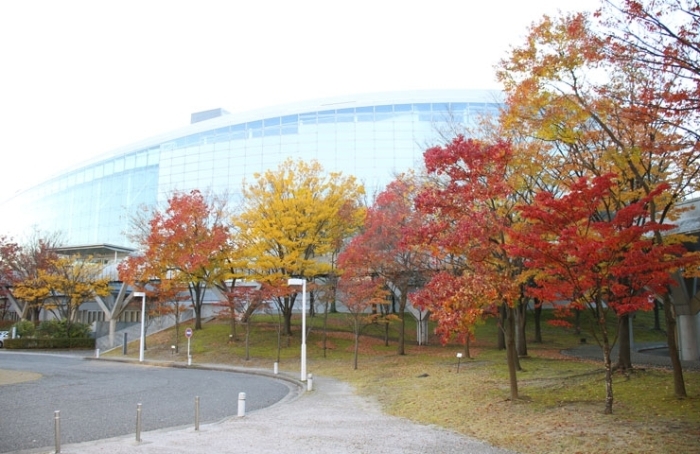 新潟市の紅葉スポット 新潟市のおでかけ情報まとめ まいぷれ 新潟市 新潟市の紅葉スポット 新潟市のおでかけ情報まとめ まいぷれ 新潟市