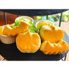 「『Halloween Afternoon Tea』のビジュアルです。 」