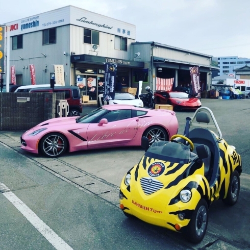 タイガース！チョロQ「姫路の新車、中古車、輸入車、スーパーカー、ランボルギーニ、フェラーリ、ポルシェ販売整備、買取！」