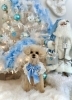 ちゃまめちゃん「2025 Merry Xmas🎄」