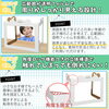 お子様向けパーテーション「ご注文増えています」