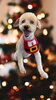 「Dog salon mofu mofu　余市町」