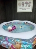 ボクは上手に泳げるよ🐬「ましゅまろプールDAY🐳」