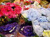 「母の日のお花が沢山並びました🌹🌼🌹」