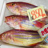 「魚魚市場鮮魚コーナーおすすめは「タチウオ・イシダイ」です♪」