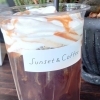 ウインナーコーヒー（ICE /HOT）