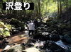 「今日の1枚📷」