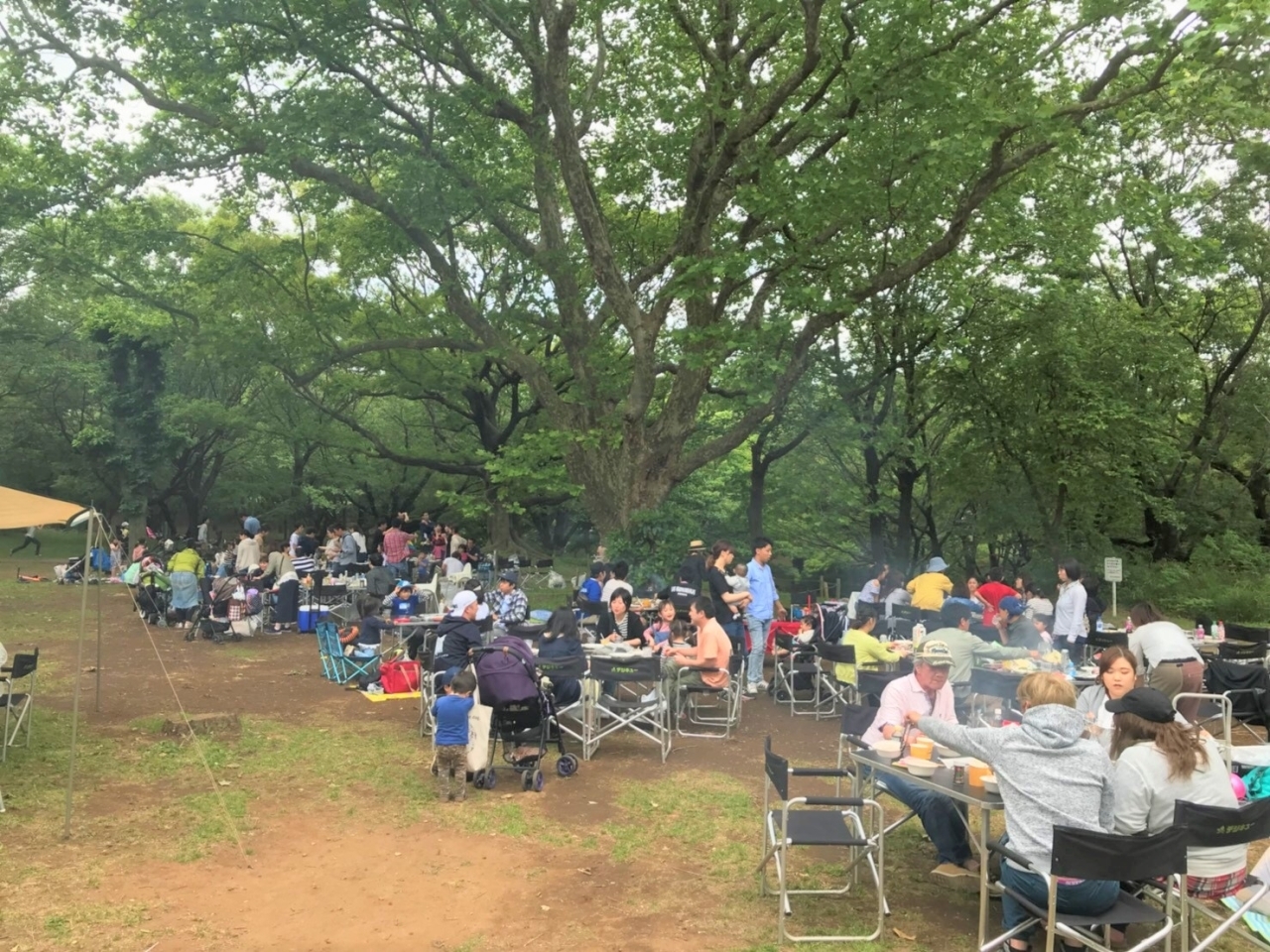 青葉の森公園 バーベキューサービス 千葉市でバーベキューするならここ オススメのbbqスポットまとめ まいぷれ 千葉市 青葉の森公園 バーベキューサービス 千葉市でバーベキューするならここ オススメのbbqスポットまとめ まいぷれ 千葉市