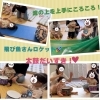 色々なことを楽しく吸収して学んでいます！「南区＆下京区のベビーリトミック♪目に見える嬉しい大きな成長！音楽って楽しいと笑顔いっぱい【南区＆下京区のピアノ・リトミック・英語リトミック・ベビーリトミック】」