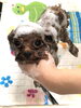 シャンプー中〜「はじめまして＆サロンデビュー（＾ν＾）」