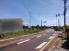 伐採 After「立木の伐採工事」