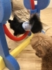 いずるくんジャンプ　^o^  後姿でごめんね〜「ましゅまろ幼稚園　^o^」