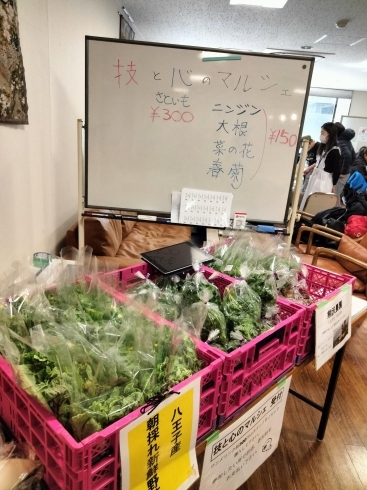 八王子産野菜の販売「昨日の　技と心のマルシェ　八王子イベント　八王子　八王子セレクトショップ　八王子産　八王子お土産　八王子手土産　八王子野菜　」