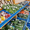 「地元産夏野菜たくさん入荷しました！」