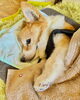 Today's hug「4月19日(日) もりのきより（小樽 ゲストハウス) 」