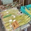 信州産『極太アスパラガス』入荷しました！ | 道の駅木曽福島の