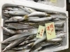 「魚魚市場鮮魚コーナーおすすめは「カワハギ」です♪」