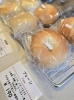シンプル is ベスト！プレーンベーグル「【ぎゅっともちもち、会津のベーグル専門店】」