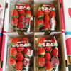 「宮城県産　苺「とちおとめ」」