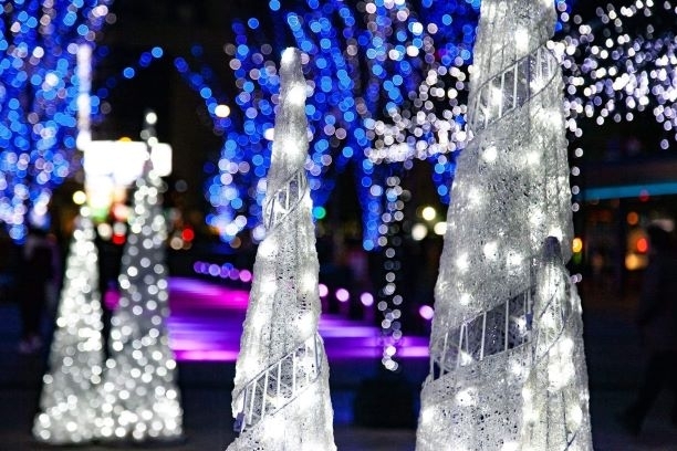 年 クリスマス特集 松山 伊予 東温 松前 砥部 クリスマス特集 松山 伊予 東温 松前 砥部 まいぷれ 松山 伊予 東温 松前 砥部