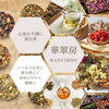 「11月イベント案内」