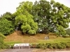 国指定史跡 江田船山古墳公園 荒尾 玉名 山鹿周辺の公園特集 まいぷれ 荒尾 玉名 山鹿
