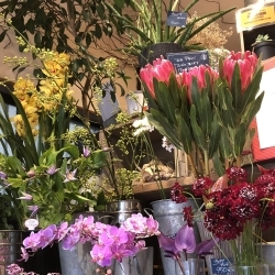 Swe5dhj2jgzvgm Swe5dhj2jgzvgm