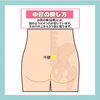 「📢✨とも鍼灸整骨院さんからのお知らせです。」