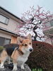 え？…みたいな顔やめて(笑)「デビューへの一歩‼️」