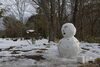 「穏やかな雪の日に」