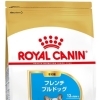 RC BHN フレンチブルドッグ　子犬　3kg