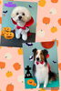 「お友達♡ Dog salon mofu mofu 余市町」