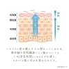 「＼今さら聞けない！／ターンオーバーって何？【宮崎市 LIHI 肌育 バクピー フェイシャルエステ 】」