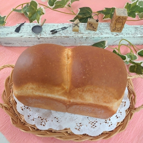 食パン「春日市　福岡　自宅パン教室　手作りパン　少人数　プライベートレッスン　癒やしの時間」