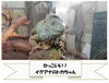 エントリーNo.1