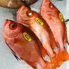 「魚魚市場鮮魚コーナーおすすめは「エビスダイ・マテ貝」です♪」