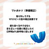 「クレアキッズの小児矯正/和歌山小児歯科、和歌山予防歯科、和歌山小児矯正」