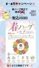 「夏本番前の今こそ！よもぎ蒸しで「汗がかける身体づくり」を」