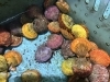 「魚魚市場鮮魚コーナーおすすめは「ハガツオ」です♪」