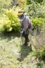 草刈りをせず雑草を放置「草刈り伐採の専門業者に頼むメリットは、安心して草刈り伐採の作業を任せられるという点にあります。 専門業者にお願いすれば、竹が混在する藪の整備や小規模の樹木の伐採なども同時に作業してもらえます。 」