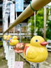 「風鈴まつりが始まりました！」