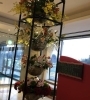 ロビー装花をさらにリアレンジ タカオフラワーブティック 三成本店のニュース まいぷれ 尾道市 ロビー装花をさらにリアレンジ タカオフラワーブティック 三成本店のニュース まいぷれ 尾道市