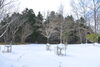 「またもや積雪・・・」